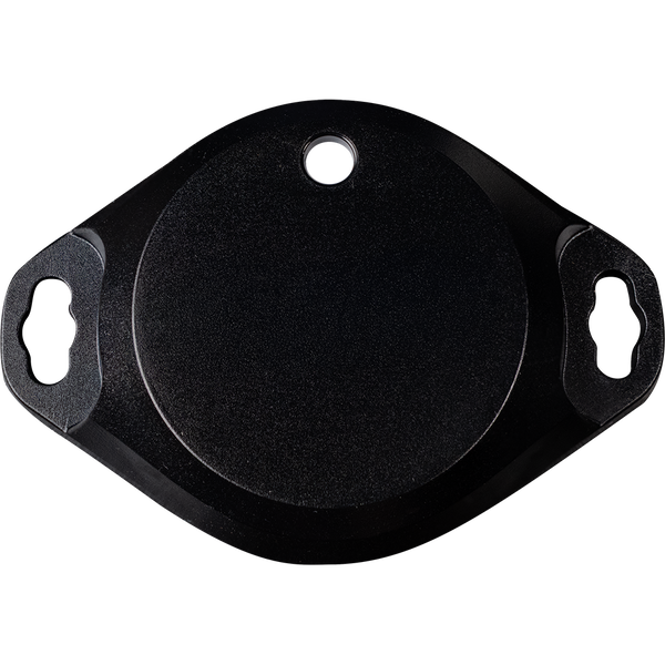 BC Weatherman - Brighton Science